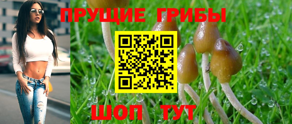 Чехов  Псилоцибиновые грибы Cubensis  Галлюциногенные грибы Magic Shrooms  Вход с VPN 
