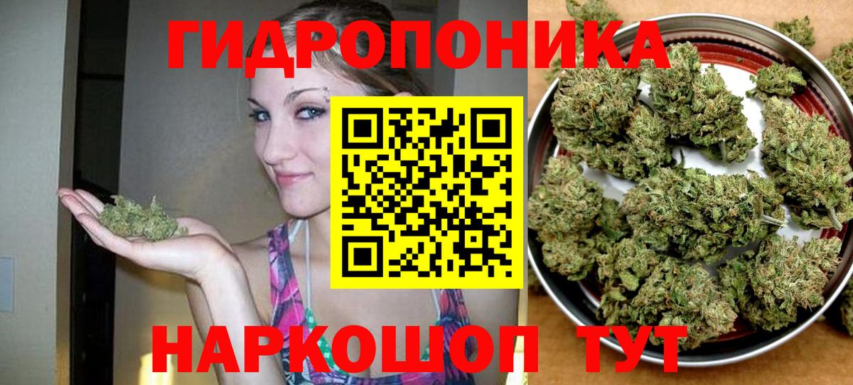 Канабис планчик Чехов